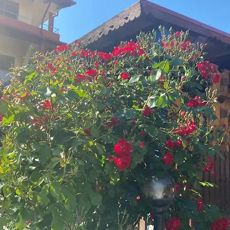 Poienita Πανσιόν Costinești