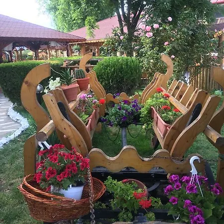 Poienita Πανσιόν Costinești