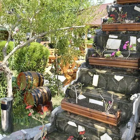 Πανσιόν Poienita 3*