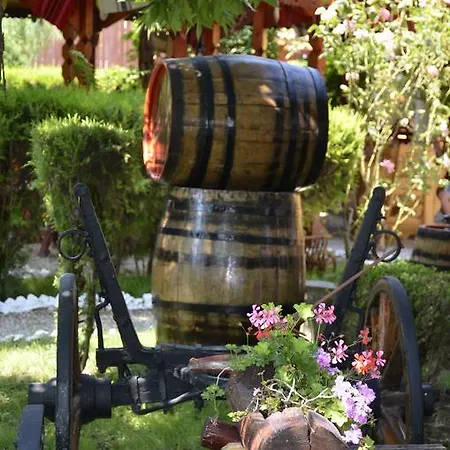 Poienita Πανσιόν